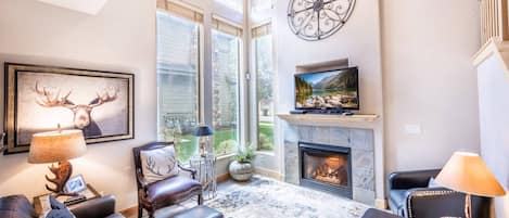 Télévision, cheminée, lecteur de DVD, chaîne hi-fi