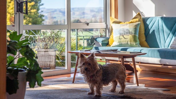 A cozy living room with a large window, a blue sofa, and a small table. - Rural South Wairarapa Home - Views,Swimming & Spa Pool (Taumata Island)