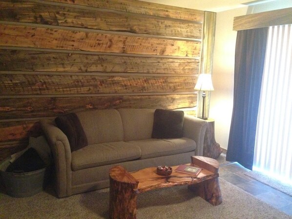 TV, fireplace, books