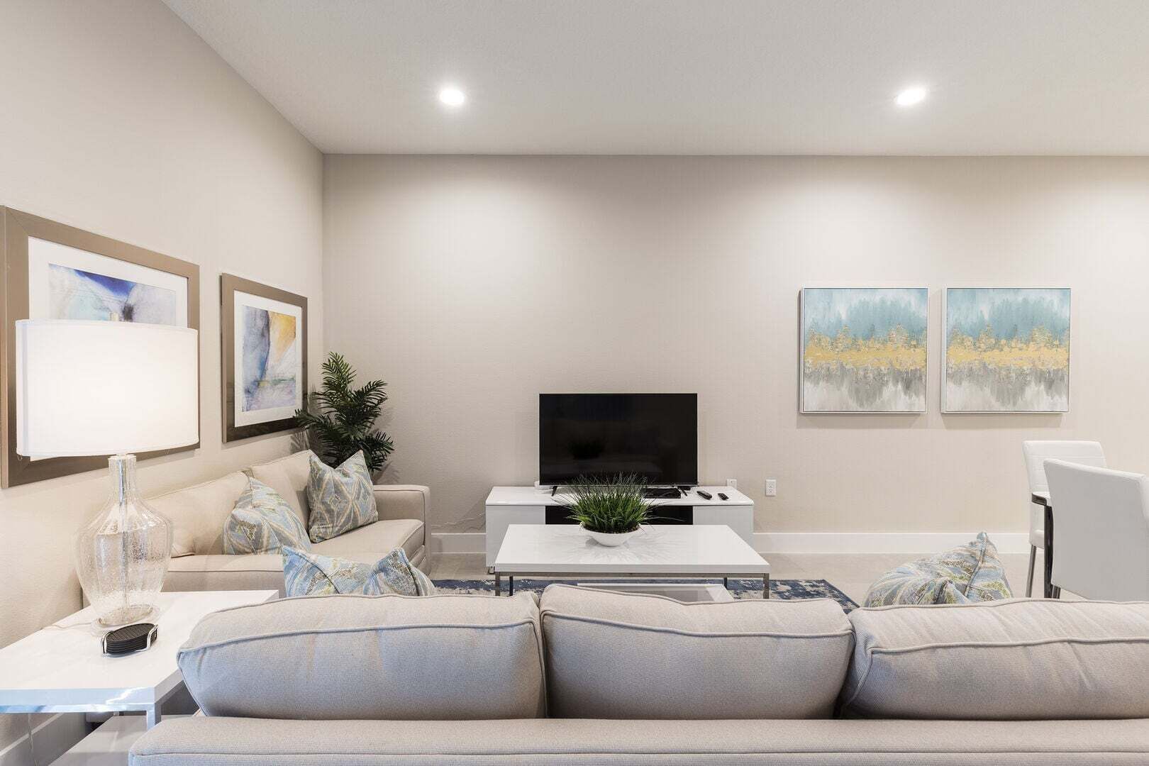 TV