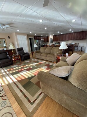 Smart TV, chimenea, reproductor de DVD y libros 