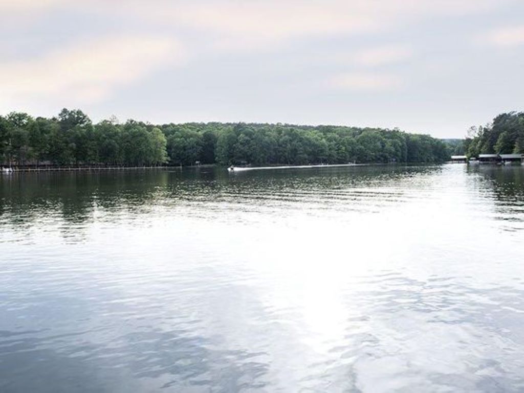 A calm river with a boat in motion, surrounded by dense trees.