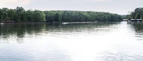 A calm river with a boat in motion, surrounded by dense trees.