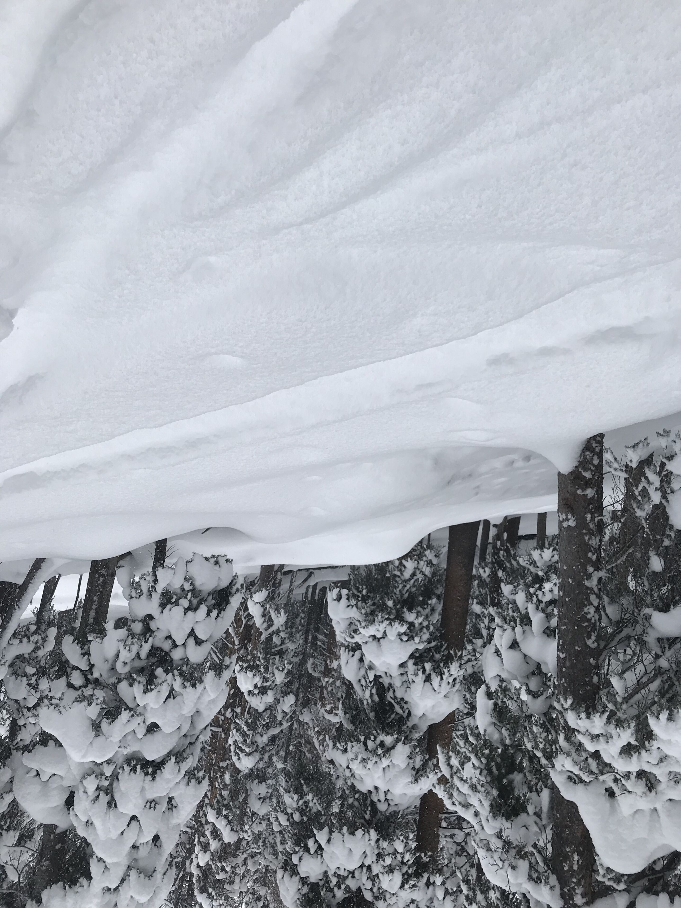 One week at The Wren, Vail Village