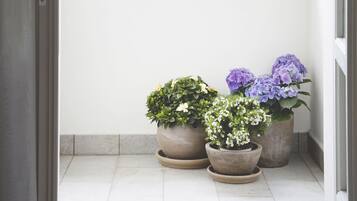 Appartement Présidentiel | Vue depuis le balcon