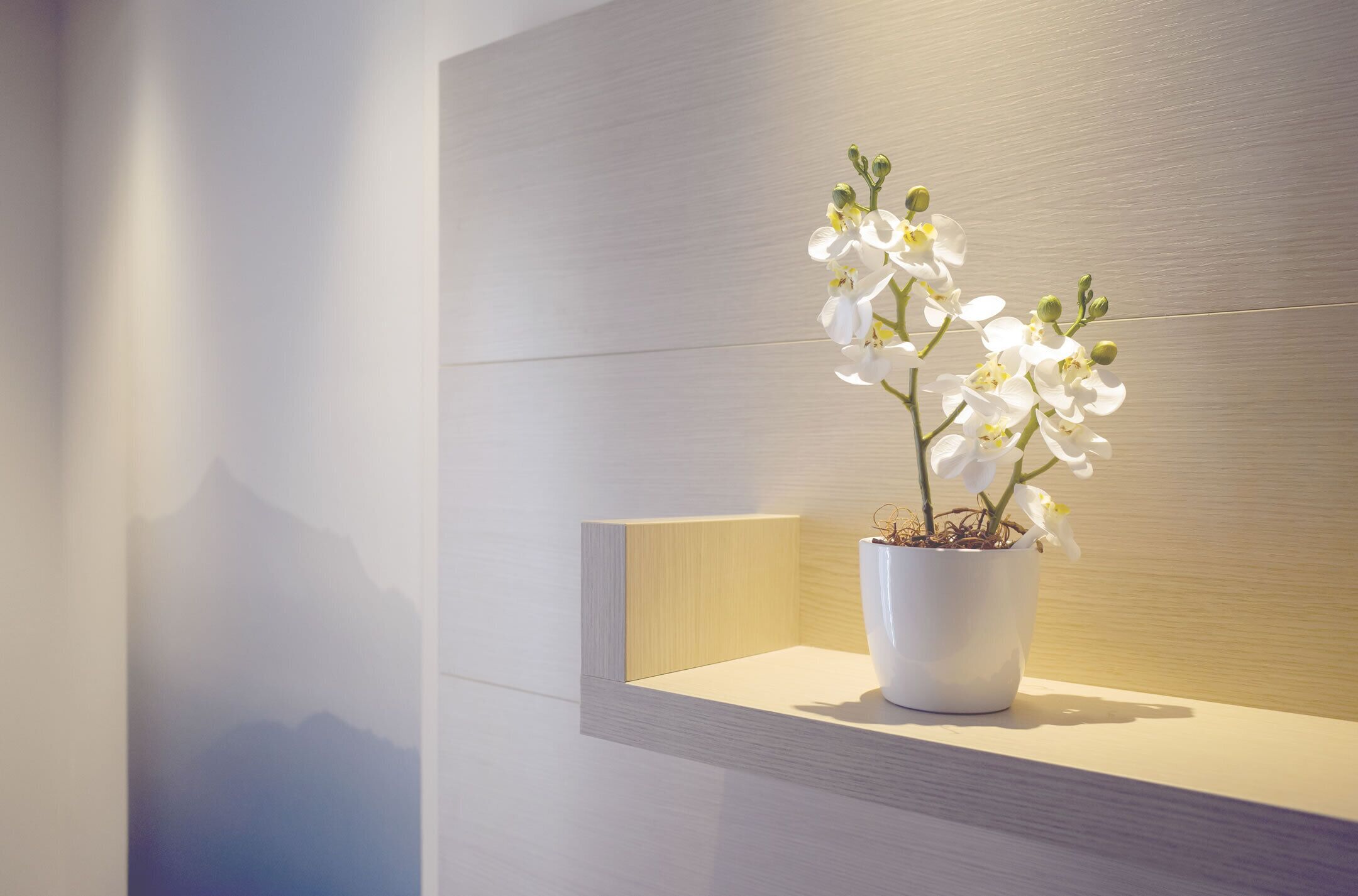 A potted orchid on a shelf against a wall with a wooden panel.