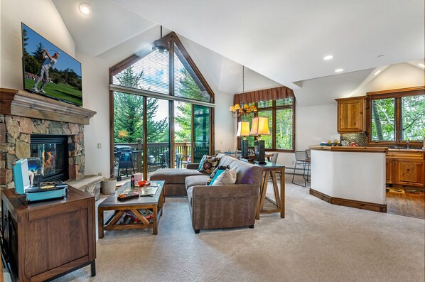 TV, fireplace, DVD player, books