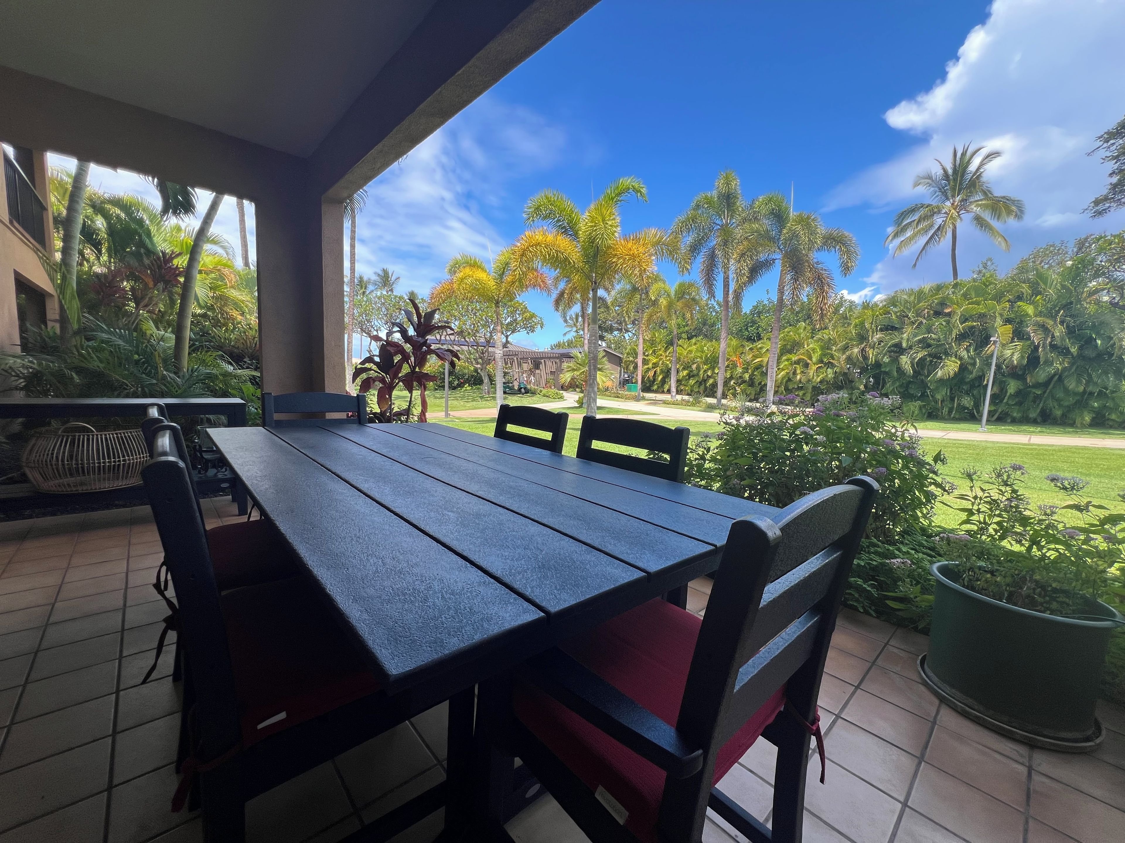 Ein überdachter Patio mit Tisch und Stühlen, mit Blick auf einen Garten mit Palmen und einer Rasenfläche.