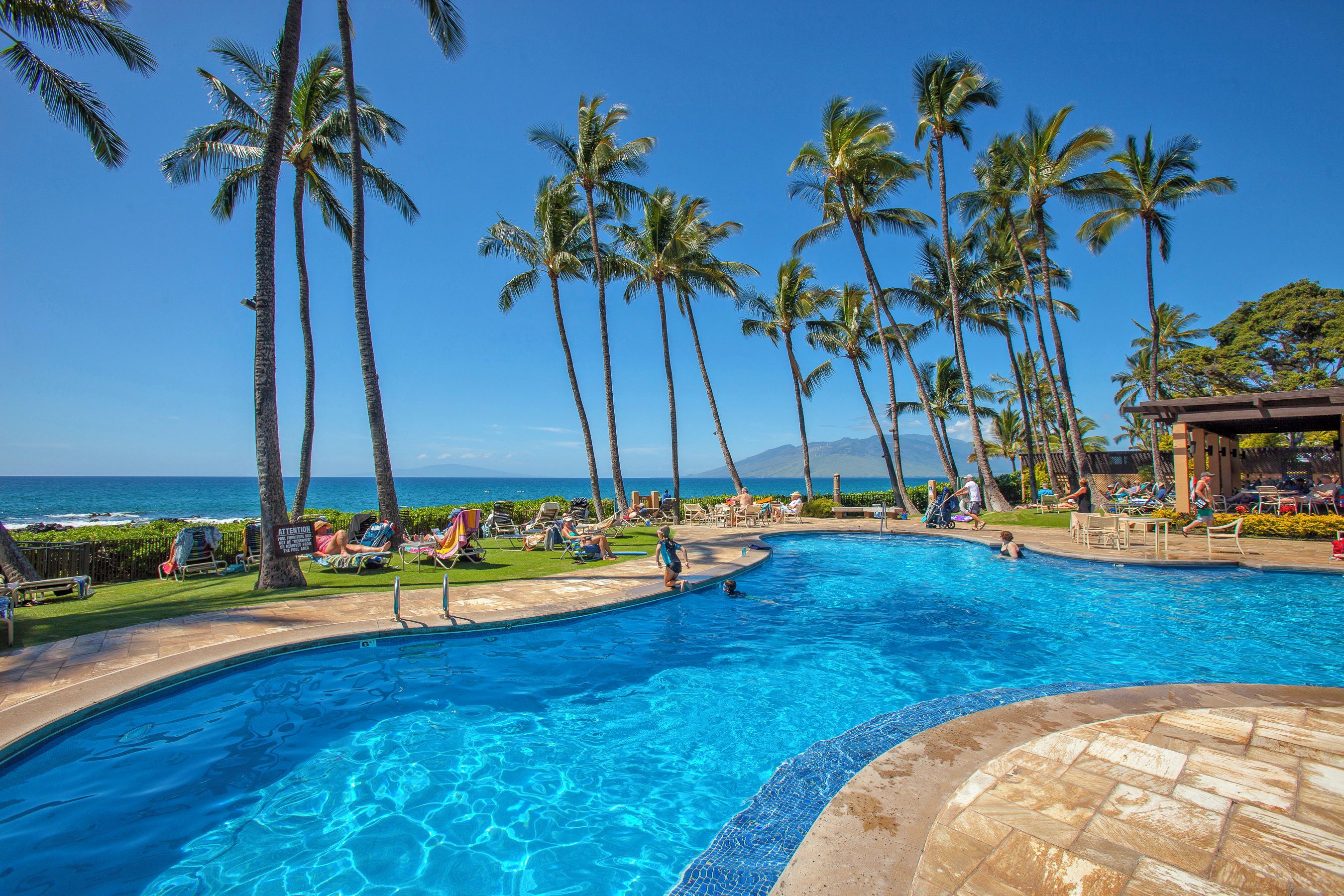 A swimming pool with palm trees and a view of the ocean.
