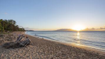 Plage, chaises longues, serviettes de plage