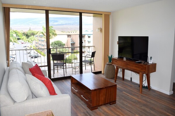 Fernseher, Stereoanlage