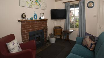 Televisión, chimenea, reproductor de DVD y libros