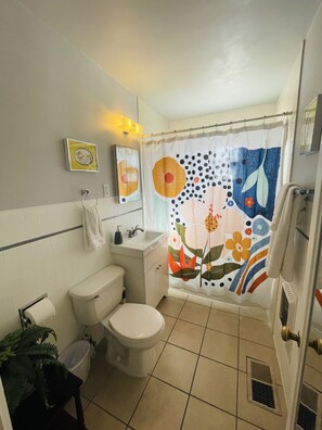 Hair dryer, towels, soap, toilet paper