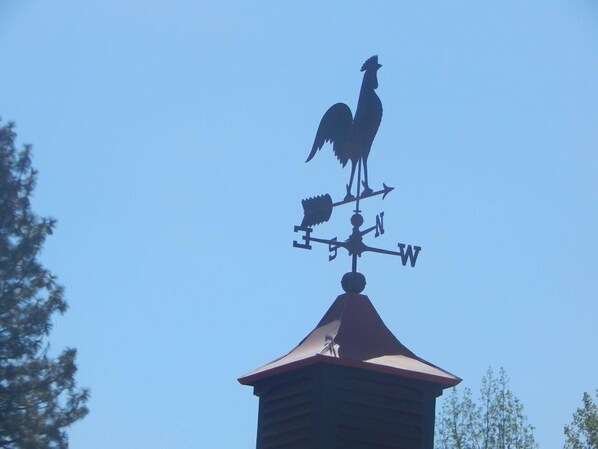 A weather vane with a rooster silhouette on top of a building.