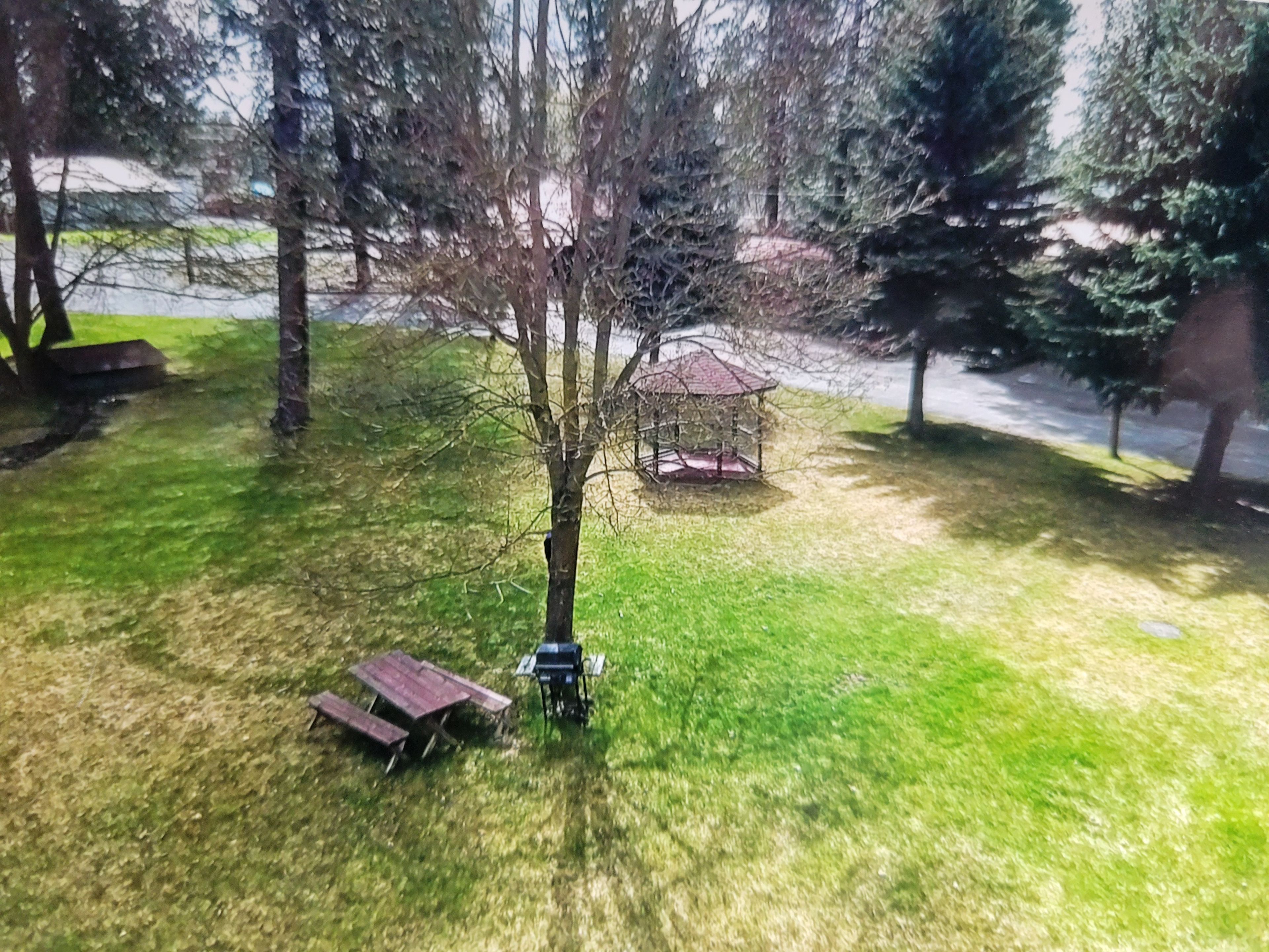 A park with a picnic table, a gazebo, and a tree.