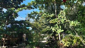 Un rigoglioso giardino con diverse specie di alberi e piante, un prato curato e un edificio con un portico.