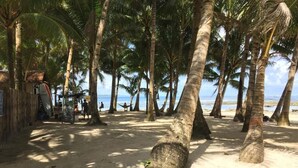 Una spiaggia sabbiosa con palme e una capanna sullo sfondo.