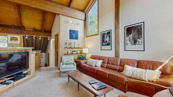 電視、壁爐、DVD 播放機