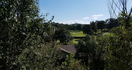 ⛳*Walk-In* Branson Golf View Condo at Fall Creek⛳