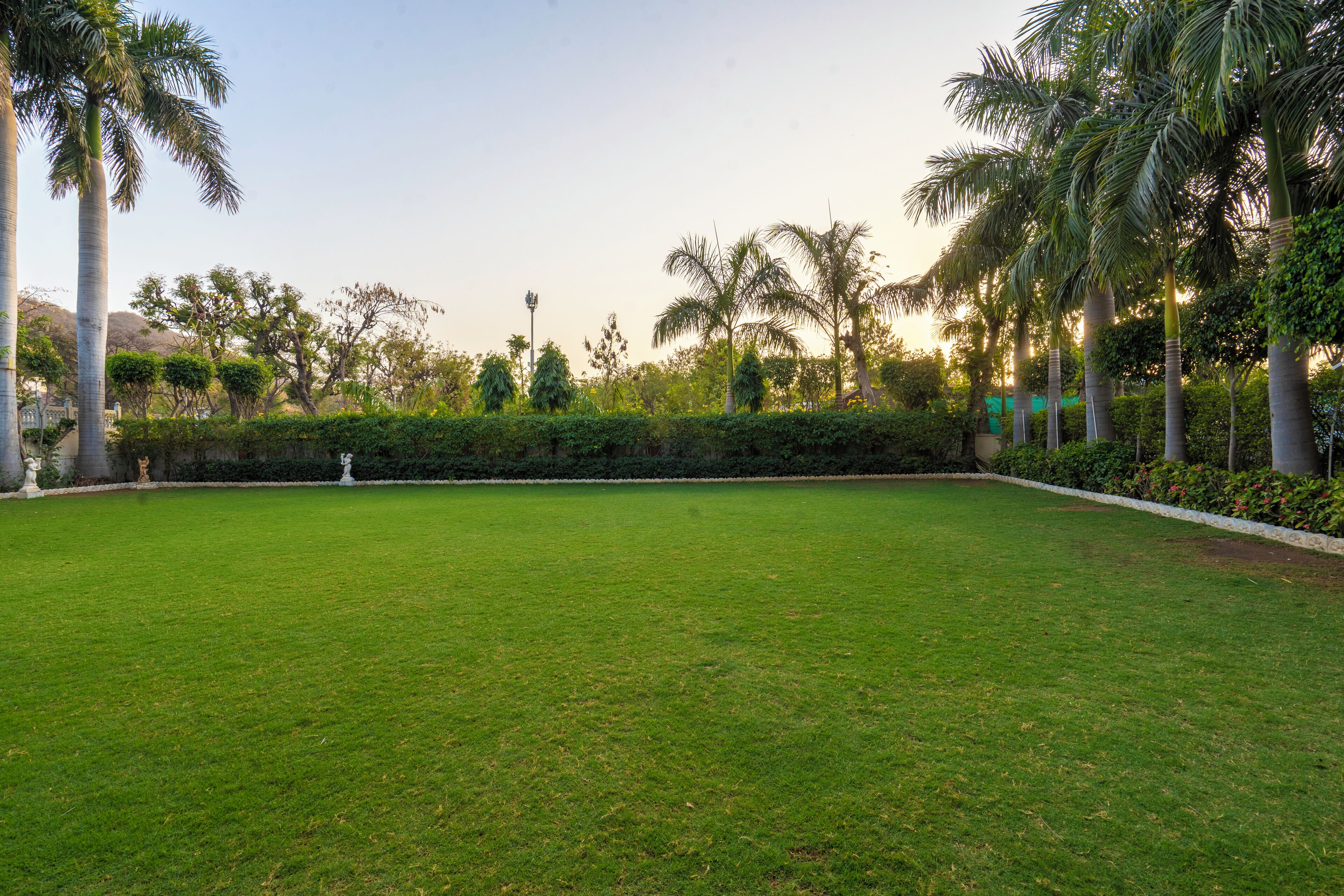 A well-maintained grassy area with palm trees and a statue in the background.