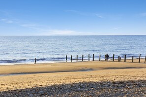 Playa en los alrededores 