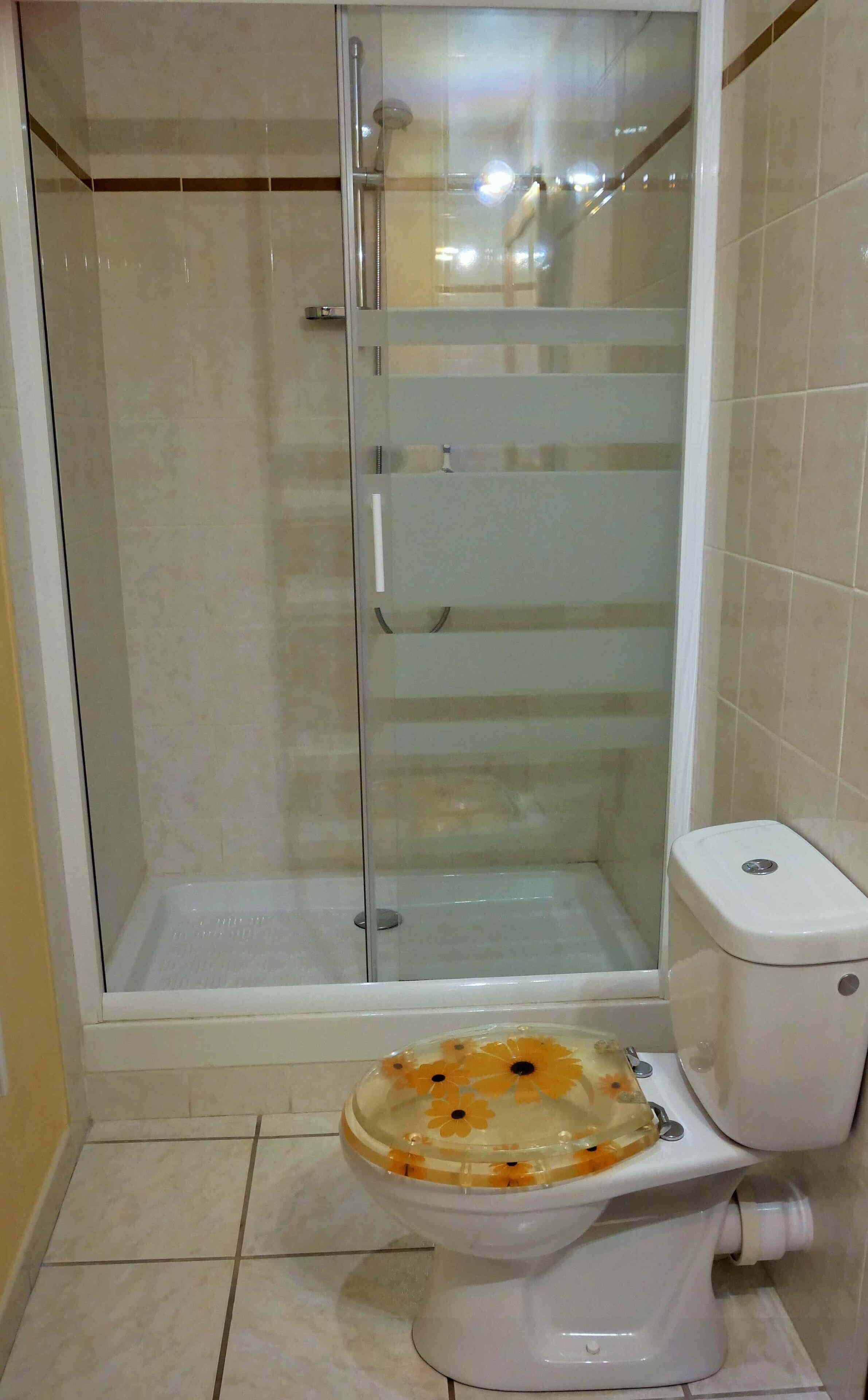 Une salle de bain avec une douche en verre, des toilettes dont l’abattant est endommagé et des murs carrelés.