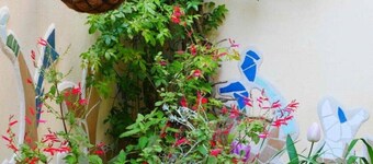 COCOON en el corazón de Prades