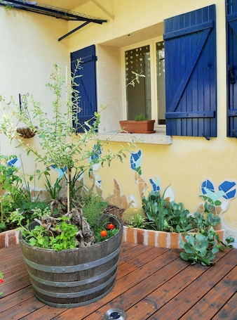 Exterior detail. Cocoon in the Heart of Prades
