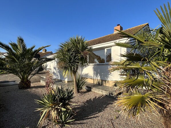 A house with a white exterior, surrounded by palm trees and a gravel driveway.