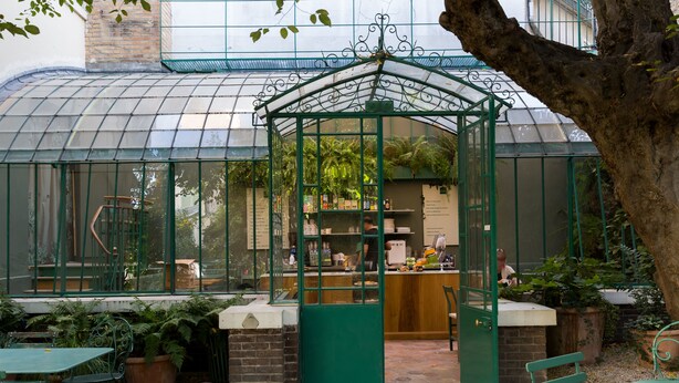 A greenhouse with a glass roof, a wooden bench, and potted plants. - The Library Wall, by Veeve (Paris)
