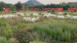Une rangée de bâtiments rouges, avec un paysage naturel en premier plan.