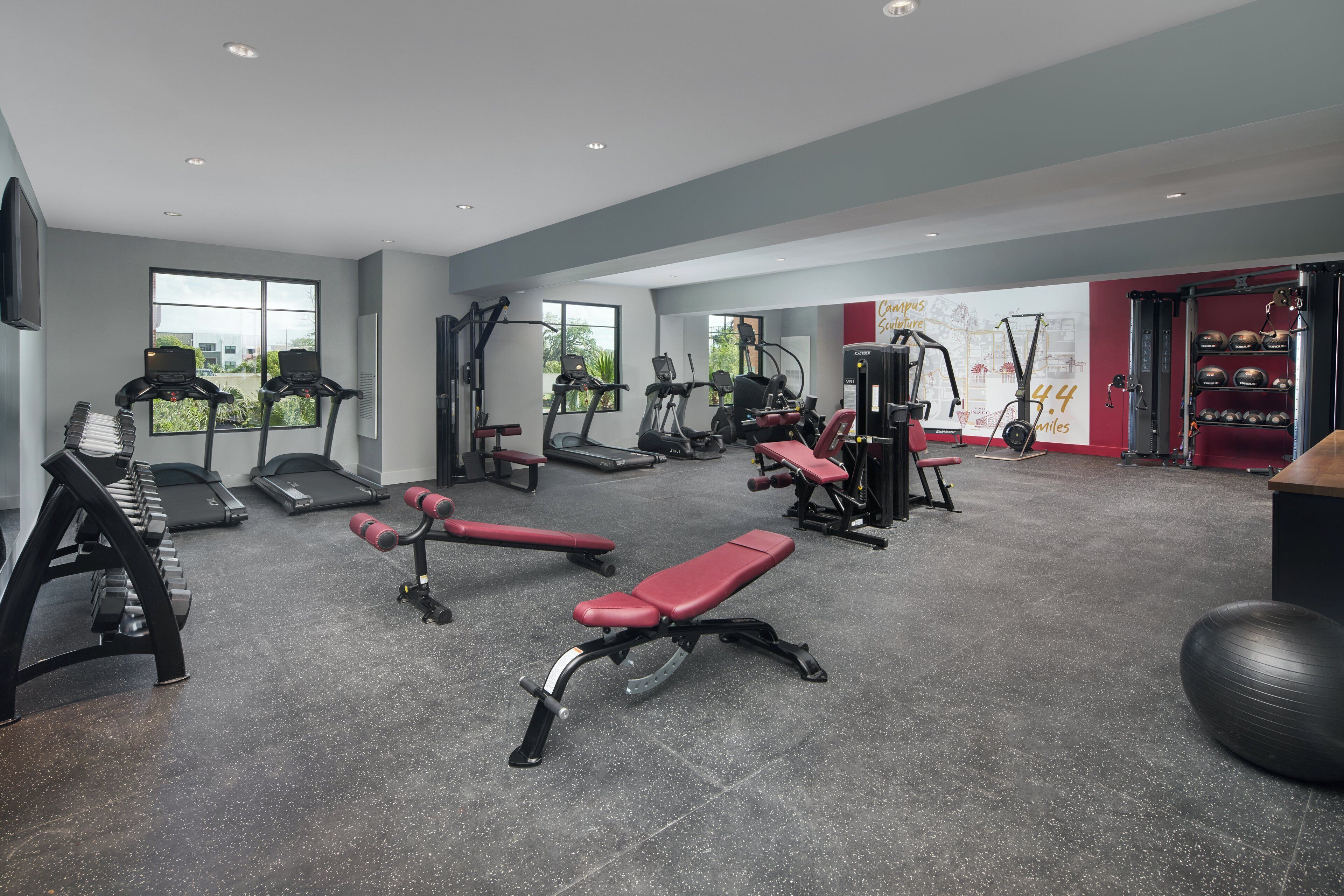 A modern gym with treadmills, elliptical machines, weight benches, and free weights.