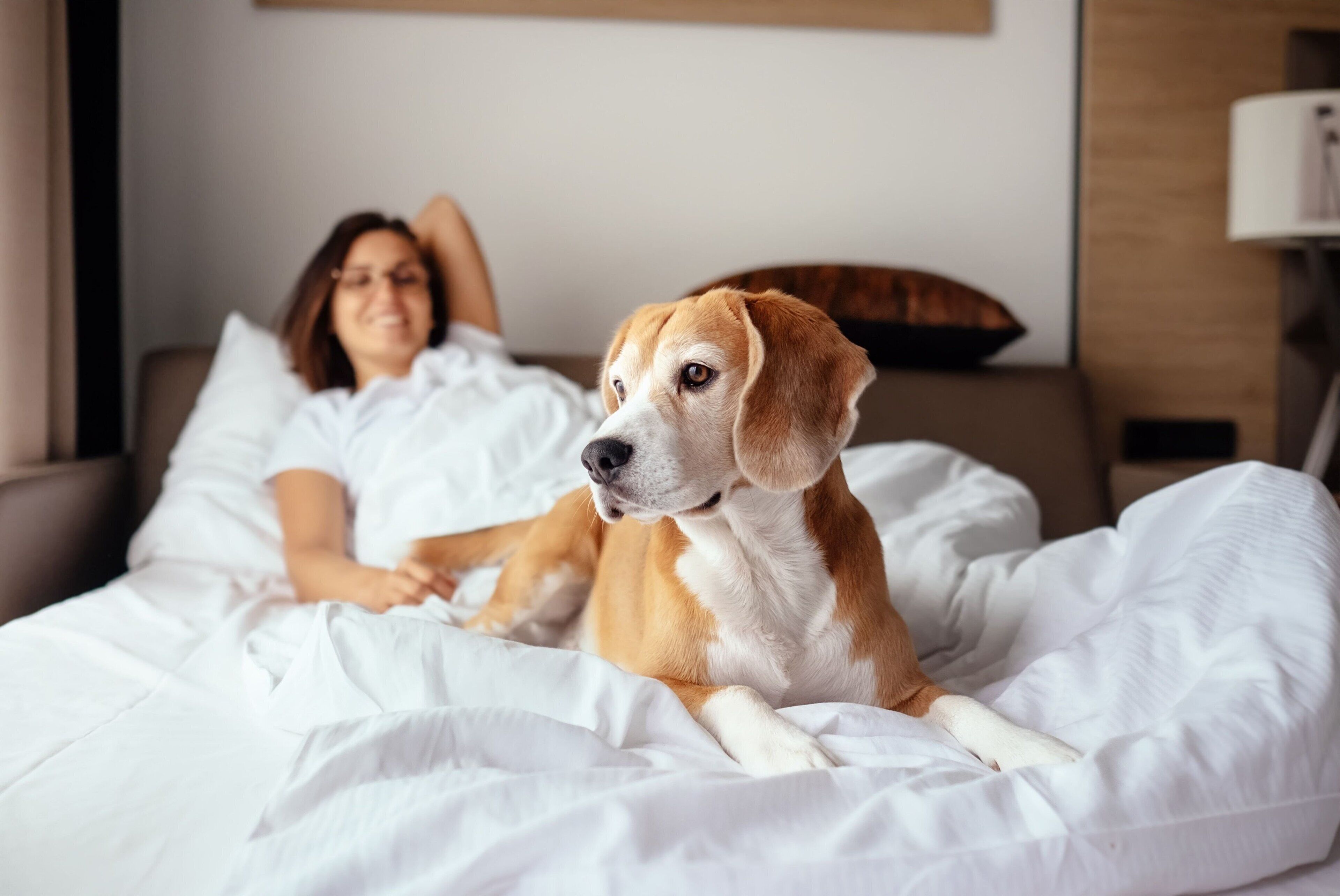 Una persona acostada en la cama con un perro.