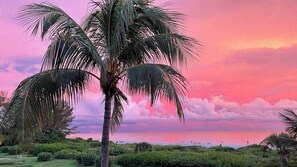 Miscellaneous - Loggerhead Cay #143 - where the view takes your breath away (Sanibel)
