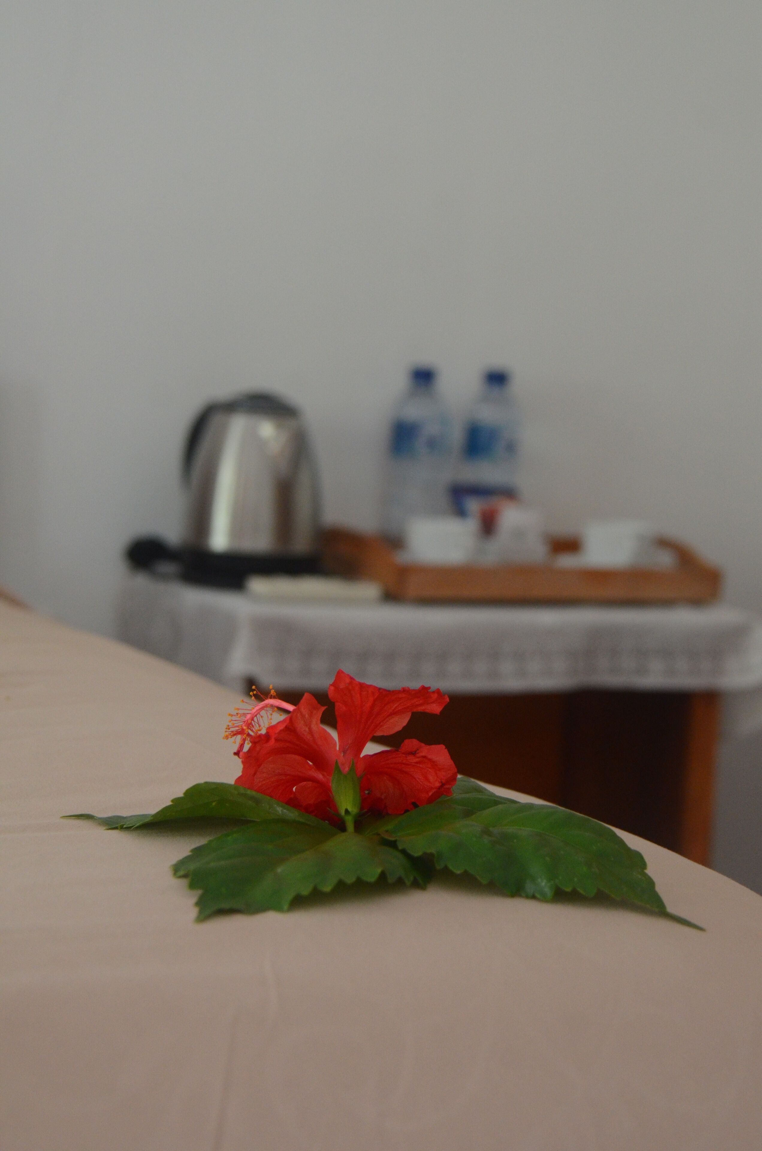 Photo - Mamaras Guest House