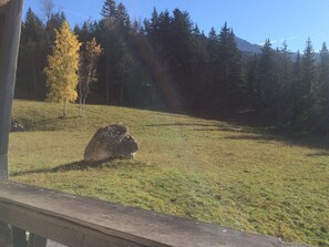 Vue depuis l’hébergement