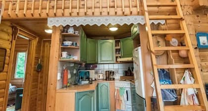 Hirsiniemi by Interhome