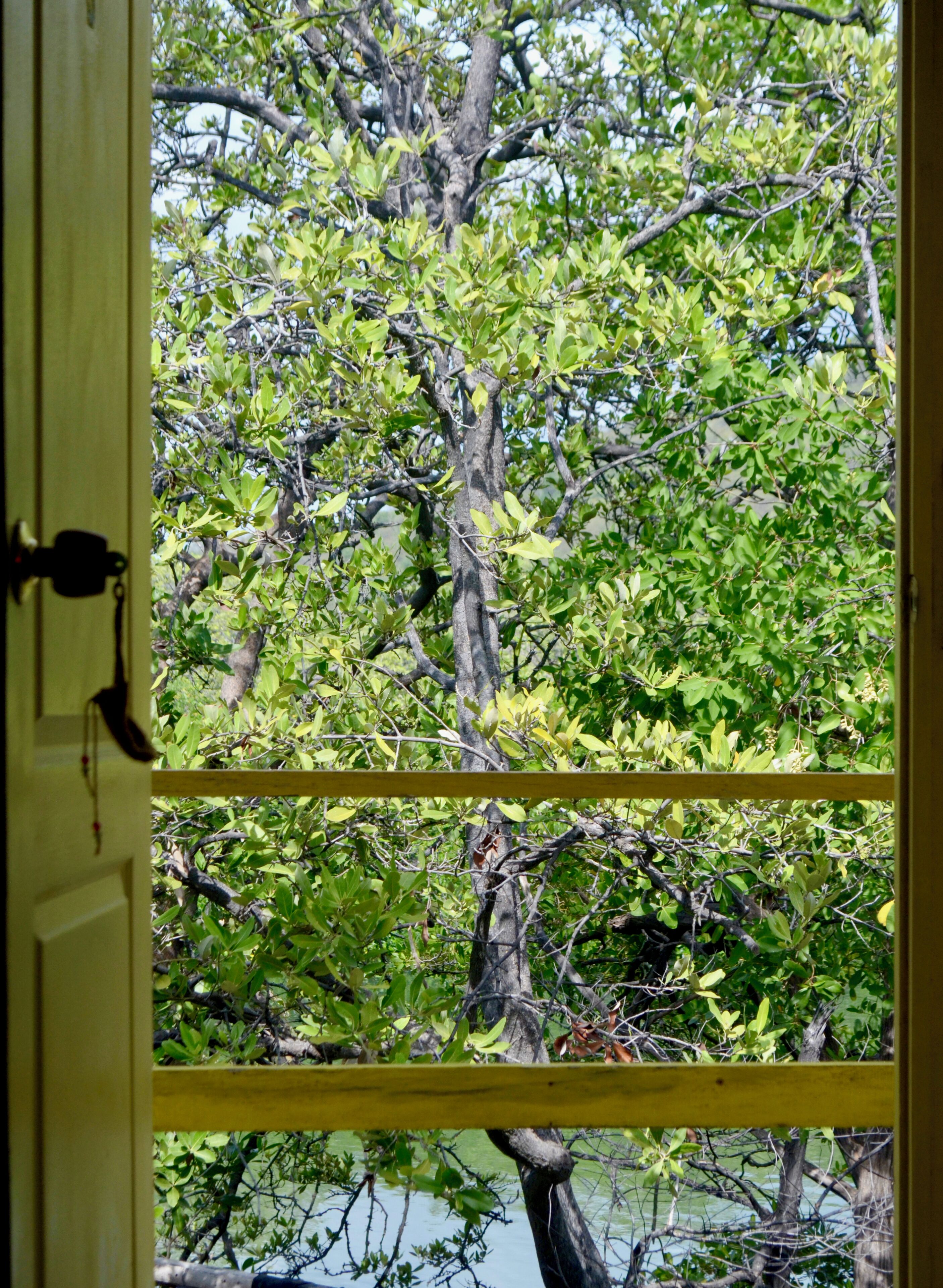 4 Bed Mix Shared Dorm | Pemandangan danau