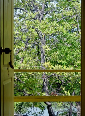 4 Bed Mix Shared Dorm | Pemandangan danau