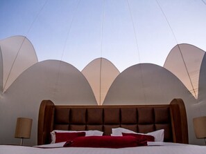 12 chambres, coffres-forts dans les chambres, Wi-Fi