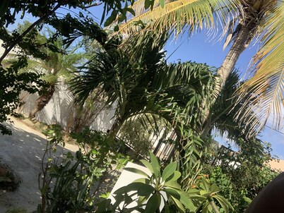 Peguero Suites