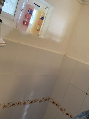 Family Apartment, 2 Bedrooms | Bathroom | Shower, rainfall showerhead, towels, soap