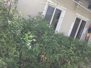 Family Apartment, 2 Bedrooms | Street view - Peguero Suites (Noord)