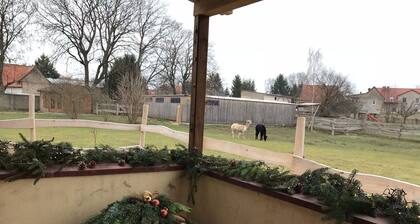 Domänenhof-talo tilalla