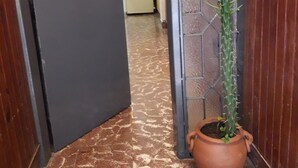 Un couloir avec une porte, un cactus en pot et un paillasson.