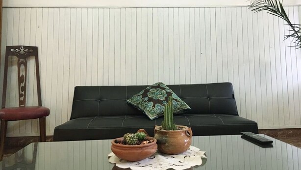 Un salon avec un canapé noir, deux plantes en pot, une télécommande et un coussin décoratif.