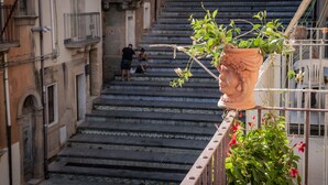 Un escalier menant à un niveau inférieur, avec une plante en pot posée sur la rambarde.