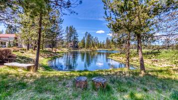 Terrain de l’hébergement 