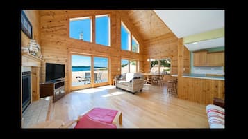 TV connectée, cheminée, lecteur de DVD, livres