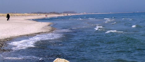 在海灘附近
